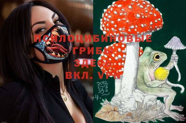 мяу мяу мука Зеленодольск