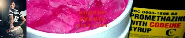 мдпв Иннополис