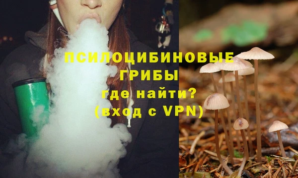 мяу мяу мука Зеленодольск