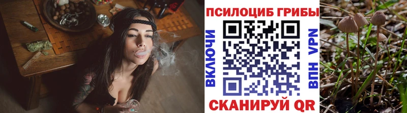 Галлюциногенные грибы GOLDEN TEACHER  что такое   Спасск-Рязанский 